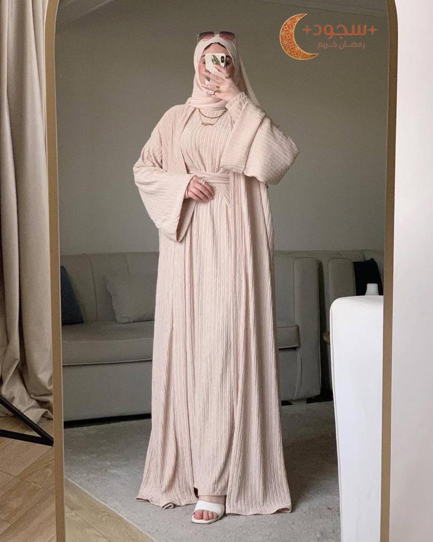 Ensemble ASSIL