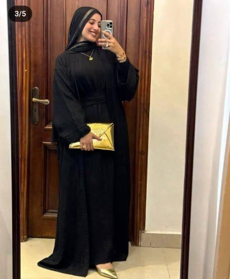 Ensemble ASSIL