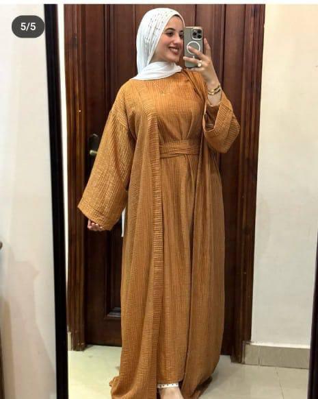 Ensemble ASSIL