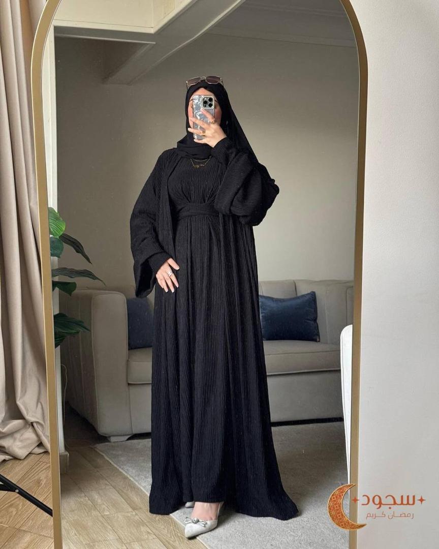 Ensemble ASSIL