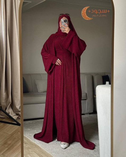 Ensemble ASSIL